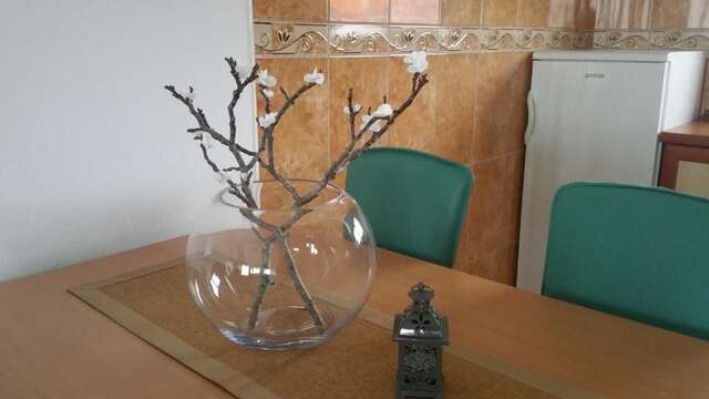 Апартаменты Apartments Tara Улцинь-63